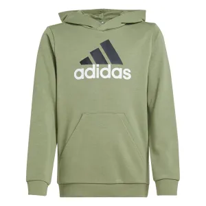 Boy's Adidas Essentials Hoodie