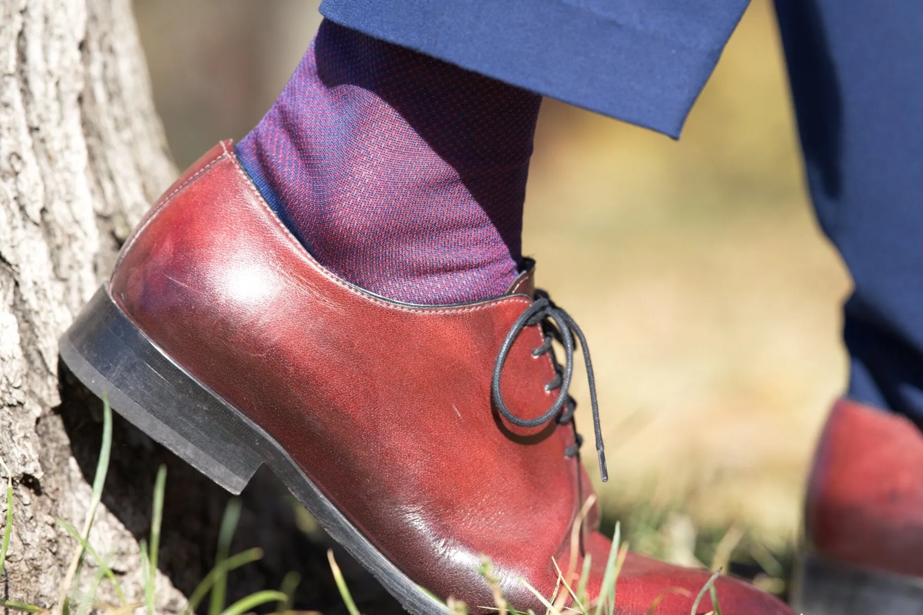 Dark Blue & Red Two-Tone Solid Cotton Socks